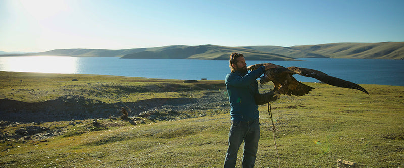 Hunting Partner: Mastering the ancient art of falconry